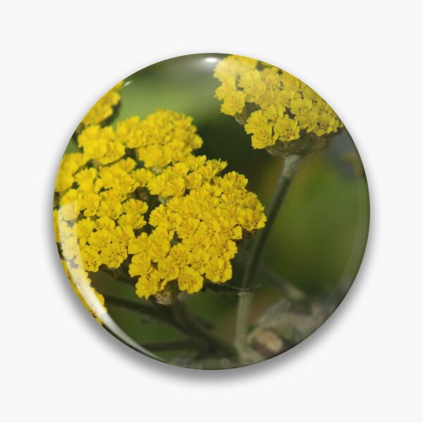 Item preview, Summer In Bloom  designed and sold by ellenmpics.