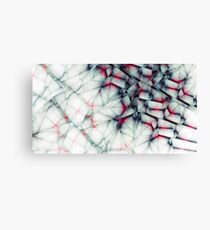 Third Flaw of Invulnerability Canvas Print
