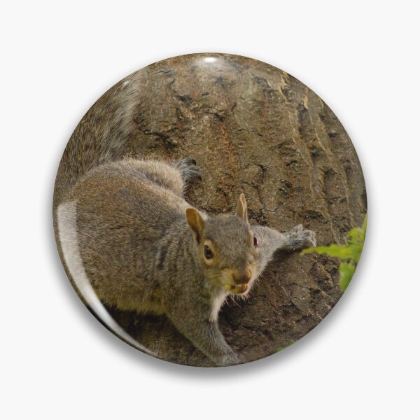 Item preview, Grey Squirrel designed and sold by ellenmpics.