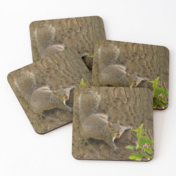 Item preview, Grey Squirrel designed and sold by ellenmpics.