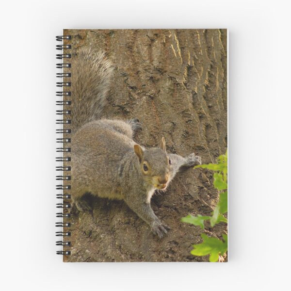 Item preview, Grey Squirrel designed and sold by ellenmpics.