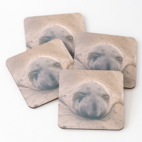Item preview, Sleep Tight  designed and sold by jvnimages.
