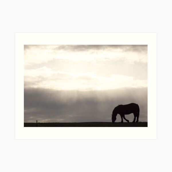 Dusk & Dew Art Print