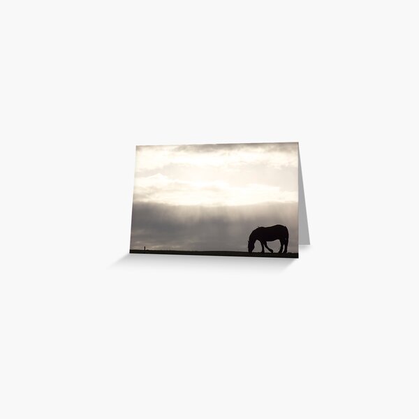 Dusk & Dew Greeting Card