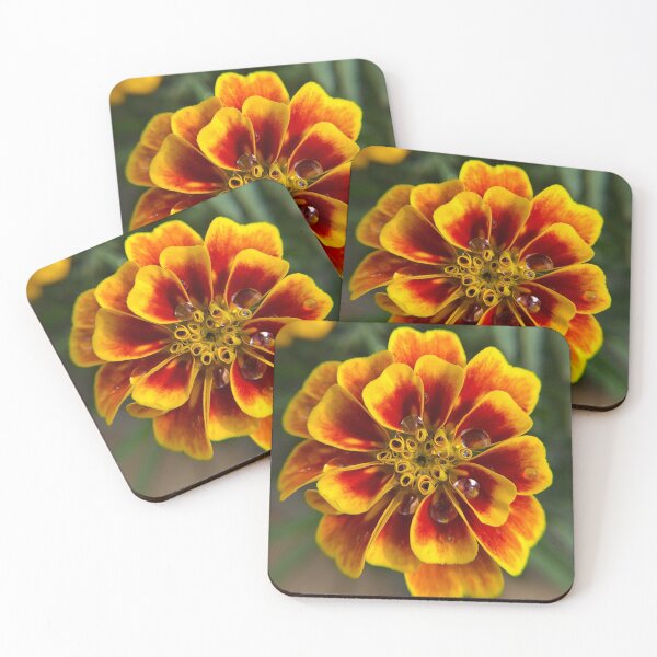 Item preview, Morning Dew designed and sold by Nature and Landscapes.