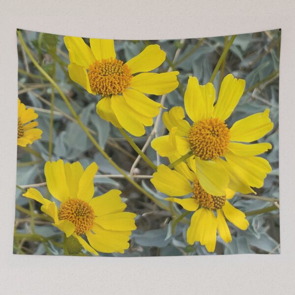 Item preview, Flores Brittlebrush designed and sold by GraceSage.
