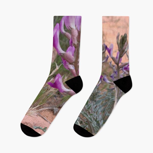 Item preview, Locoweed Flower designed and sold by GraceSage.