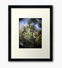 Photo 2.3: Yggdrasil Framed Print