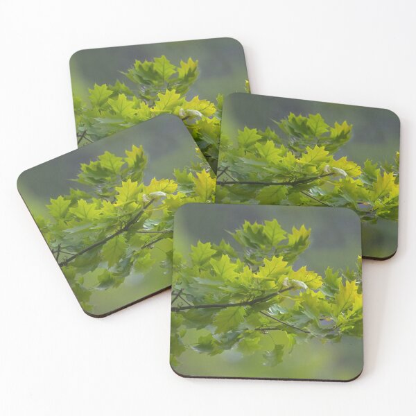 Item preview, Red Oak Leaves designed and sold by TheCurators.