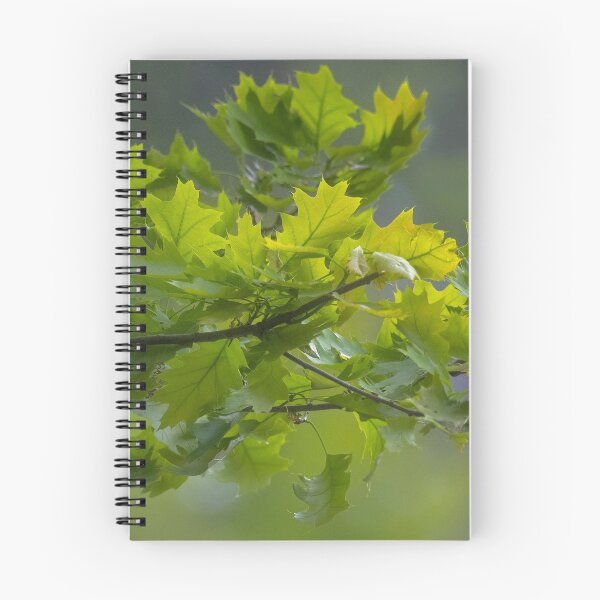 Item preview, Red Oak Leaves designed and sold by TheCurators.