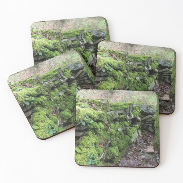 Item preview, Litchen covered wall and tree at Heddon Valley designed and sold by kevgreen.
