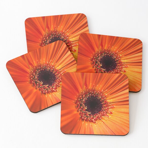 Artikelvorschau, Brillante Orange entworfen und verkauft von Nature and Landscapes.