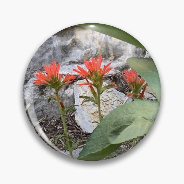 Item preview, Indian Paintbrush designed and sold by GraceSage.