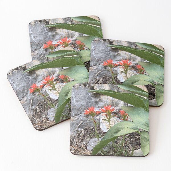 Item preview, Indian Paintbrush designed and sold by GraceSage.