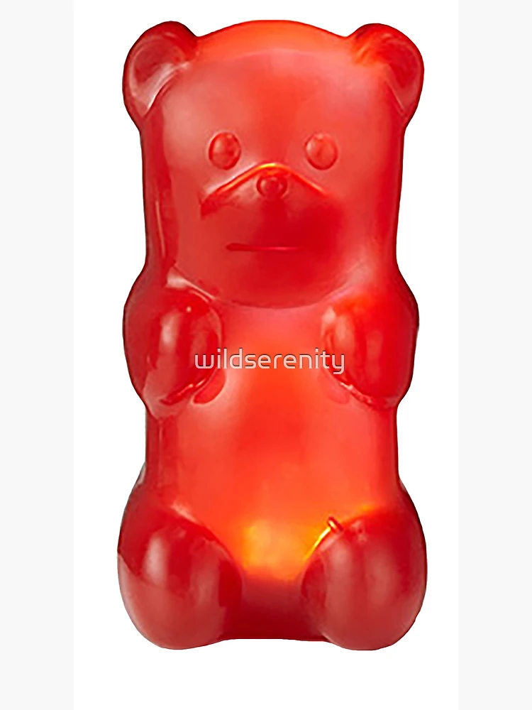 Bear Cartoon png download - 600*600 - Free Transparent Gummy Bear