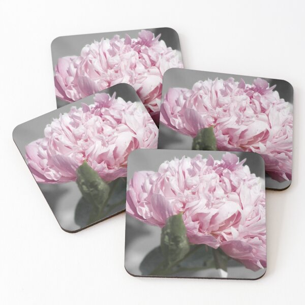 Item preview, Gray and Pink Peony Photograph designed and sold by dddesignsnj.