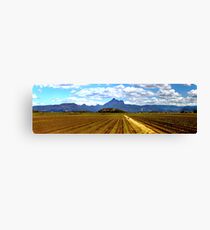 Mt Warning 16 Canvas Print