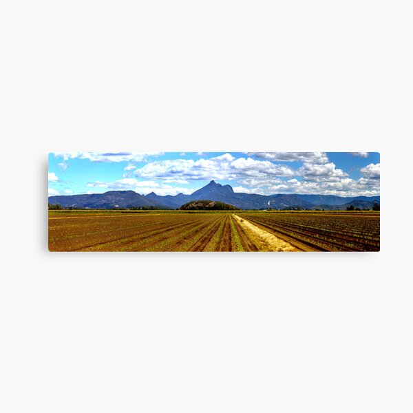 Mt Warning 16 Canvas Print