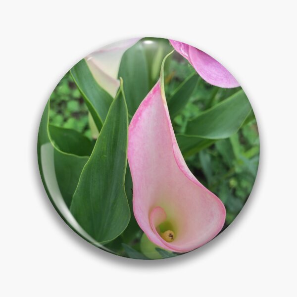Artikelvorschau, Calla Boquet entworfen und verkauft von lezell.