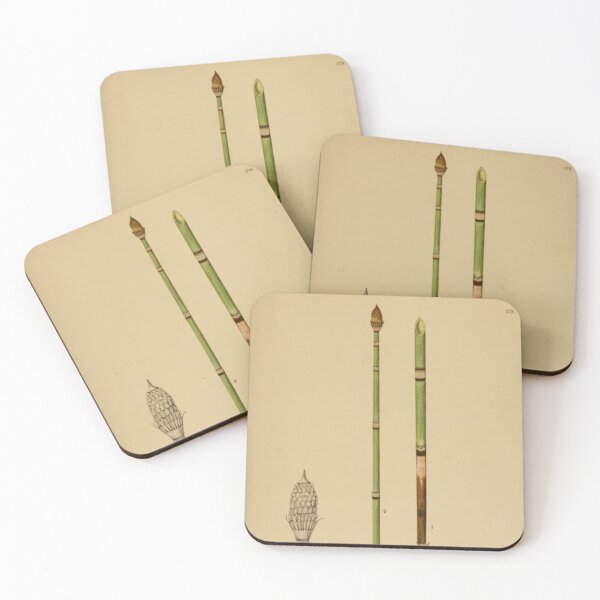 Item preview, Botanical Horsetail designed and sold by BlueSpecsStudio.