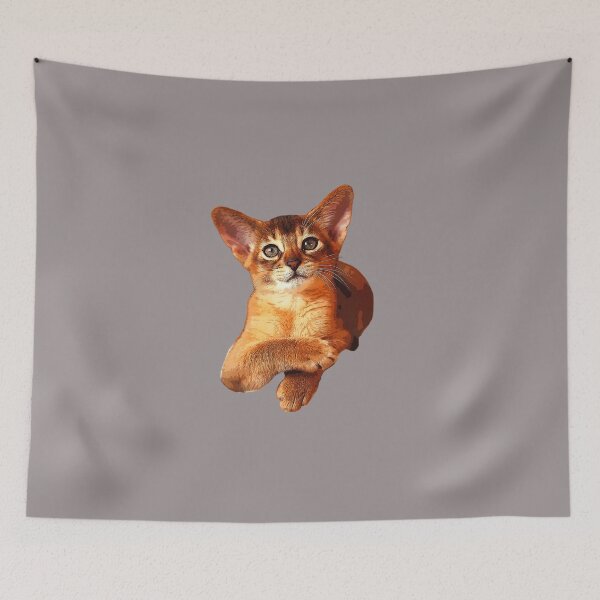 Item preview, Abyssinian Kitten Cat Cute! designed and sold by ElegantCat.