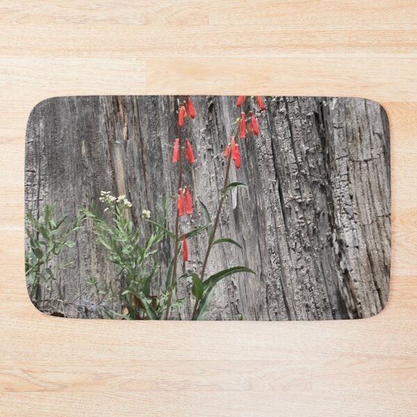 Item preview, Firecracker Penstemon designed and sold by GraceSage.