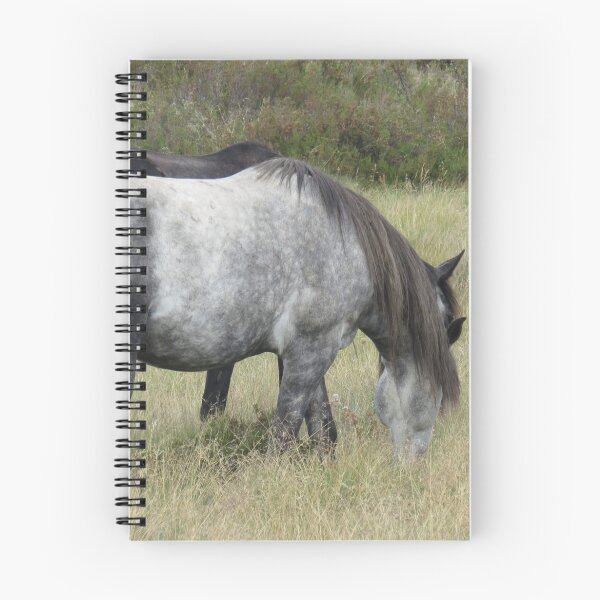 Item preview, Brumbies 1 designed and sold by julie anne  grattan.
