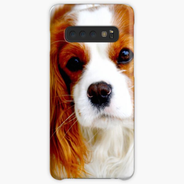 Cavalier King Charles Spaniel Samsung Galaxy Snap Case