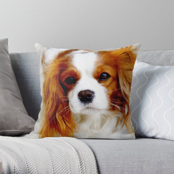 Cavalier King Charles Spaniel Throw Pillow