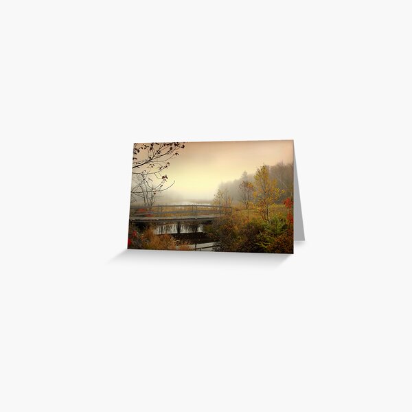 Quiet Moments Greeting Card