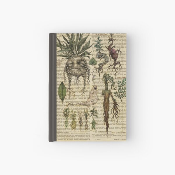 Botanical print, on old book page - Mandragora Hardcover Journal