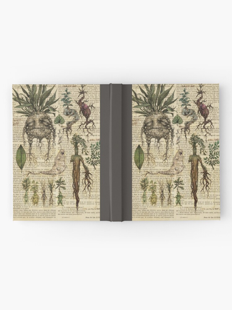 Botanical print, on old book page - Mandragora Tapestry for Sale by Art  Dream Studio