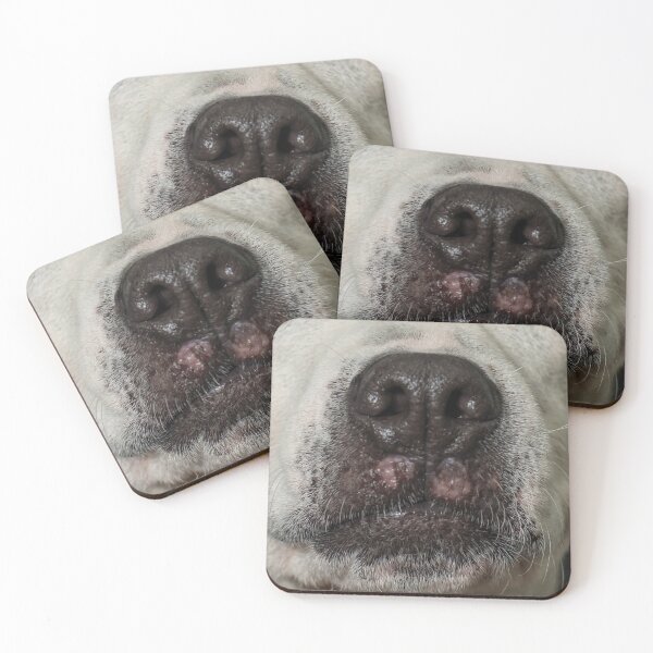 Item preview, Staffy Terrier Close Up Nose designed and sold by houseofhound.