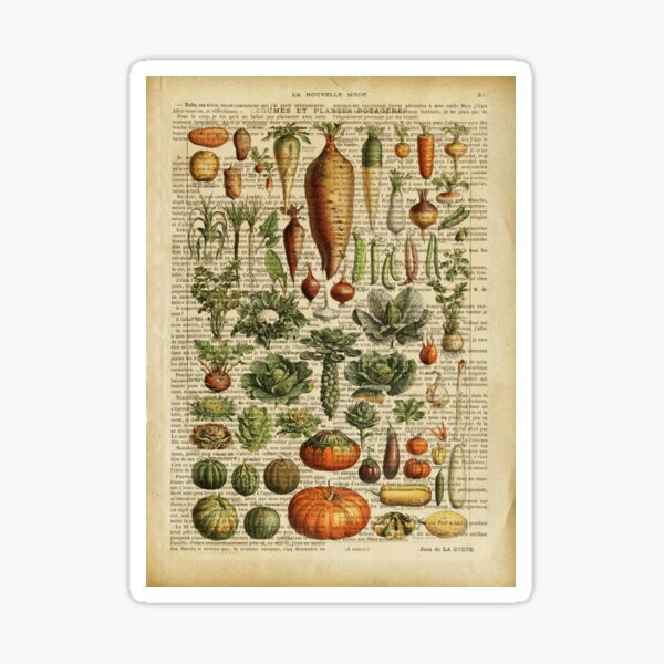 Item preview, Botanical print, on old book page - garden vegetables 2 designed and sold by Art by Lilia.