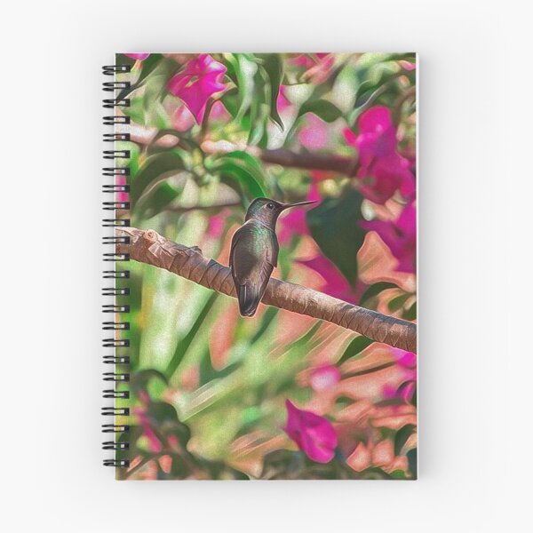 Item preview, Colibri designed and sold by anafrancisconi.