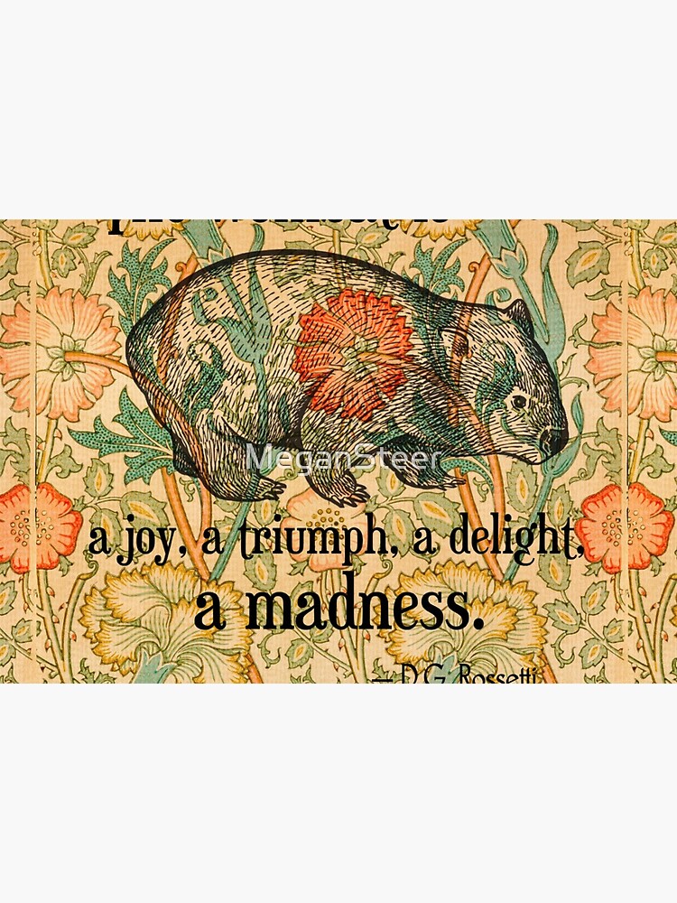 Ode to a Wombat by MeganSteer