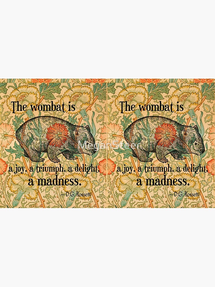 Ode to a Wombat by MeganSteer