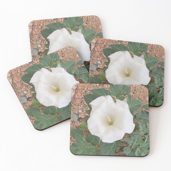 Item preview, Sacred Datura designed and sold by GraceSage.
