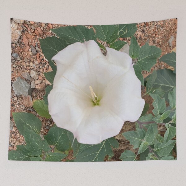 Item preview, Sacred Datura designed and sold by GraceSage.