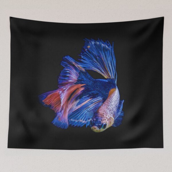 Item preview, Siamese Fighting Fish; Red And Blue Betta designed and sold by Heathermarie321.