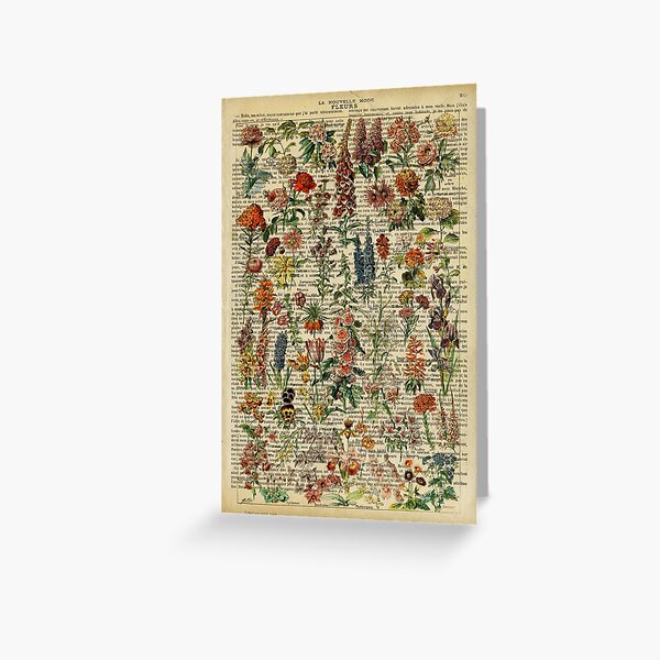 Botanical print, on old book page - garden flowers Greeting Card