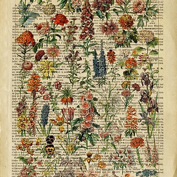 Botanical print, on old book page - Nasturtium Tapestry for Sale