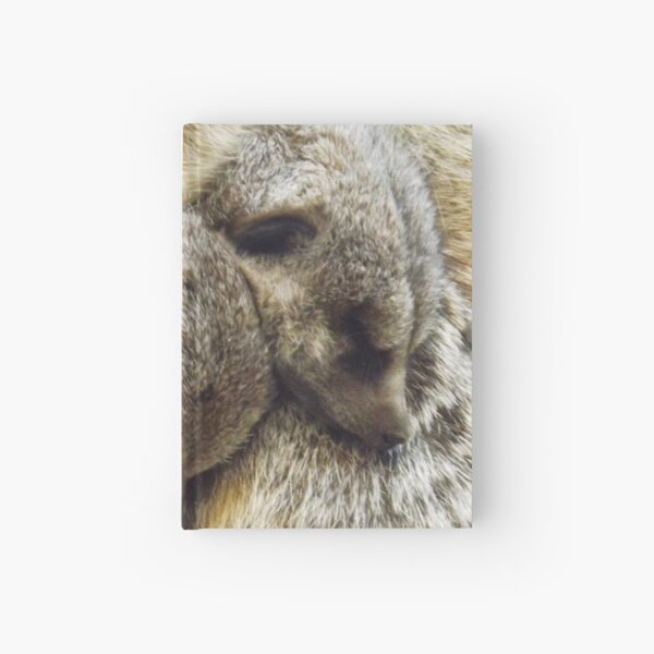 Pile of Baby Meerkats Sleeping Hardcover Journal