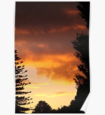 Sunsets Poster