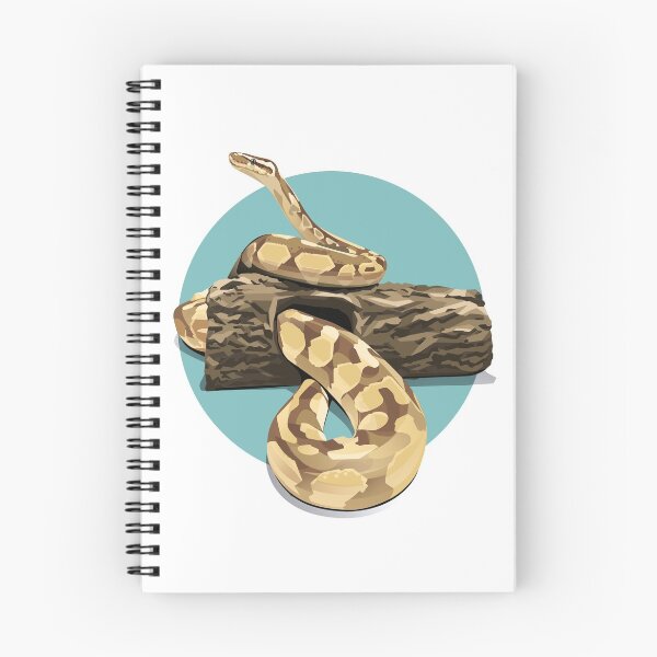 Item preview, Lesser Enchi Ball Python Snake designed and sold by joobjoobthesnek.