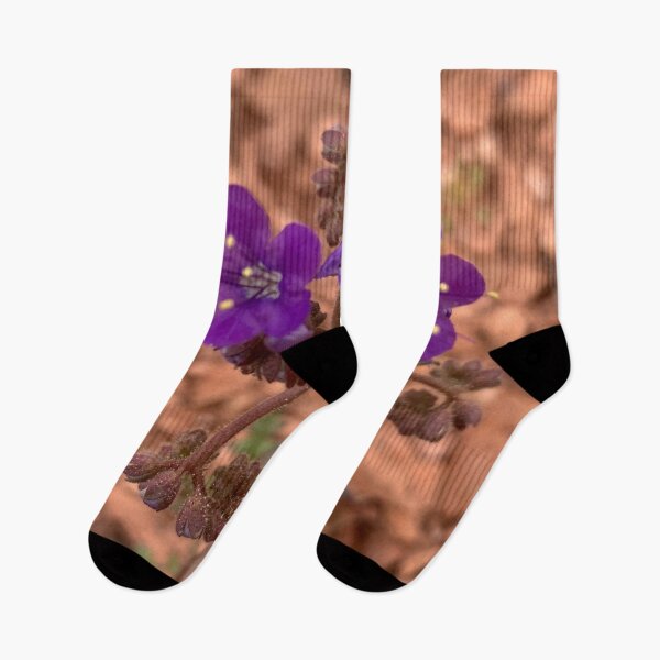 Item preview, Phacelia Crenulata designed and sold by GraceSage.
