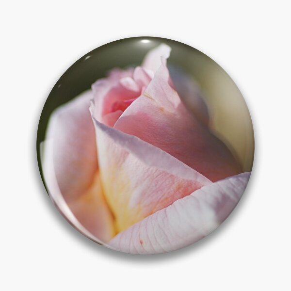 Item preview, A Pink Rose Bud designed and sold by Joy Watson - Natural Light Photography .