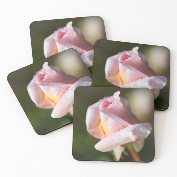 Item preview, A Pink Rose Bud designed and sold by Joy Watson - Natural Light Photography .