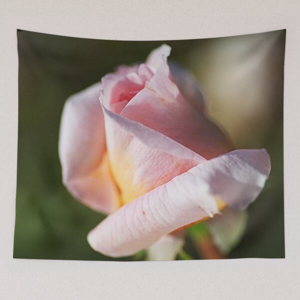 Item preview, A Pink Rose Bud designed and sold by Joy Watson - Natural Light Photography .