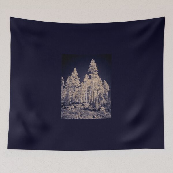 Item preview, Pines standing tall. IR-photography designed and sold by Jouko Lehto Photography.